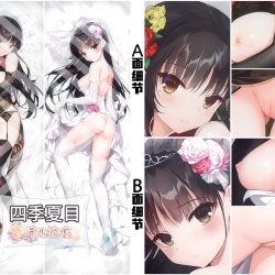 GalGame